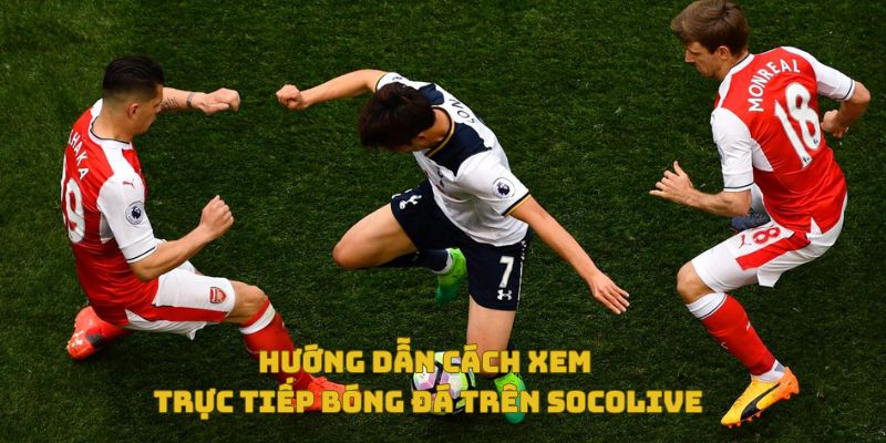 Hướng dẫn cách xem trực tiếp bóng đá trên Socolive TV